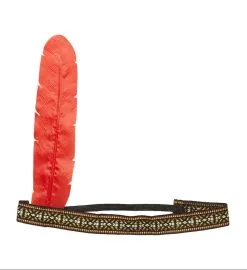 Hoofdband Indiaan Met Veer
