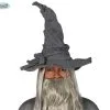 Lord Of The Hats Gandalf Hoed