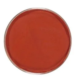 Unicolor Make-Up In 25 Gram Bakje, Indiaan Rood